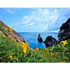 [A-01] 인천투어닷컴 단독진행 홍도+흑산도 1박2일 섬여행(20인이상 출발확정)