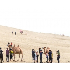 [A-04] 대한민국의 서쪽 끝 백령도 1박2일 섬여행
