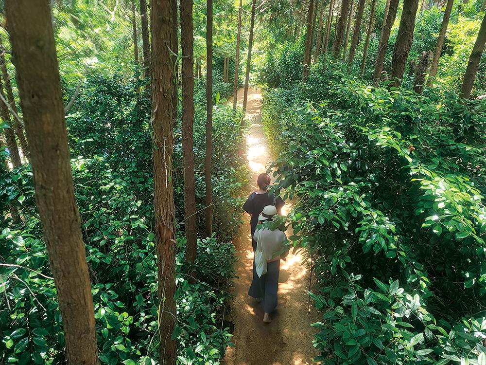 [B-117] 해금강+외도 1박2일