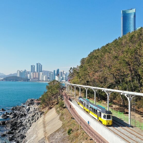 [B-117A] 거제 공곶이 수선화&지심도+부산 1박2일