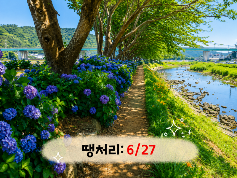 [B-117B] 거제+통영 수국여행 1박2일