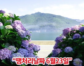 [B-117B] 거제+통영 수국여행 1박2일