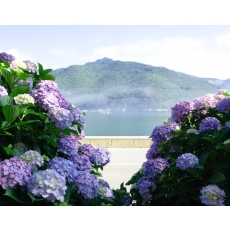 [B-117B] 거제+통영 수국여행 1박2일