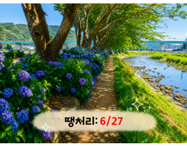 [B-117B] 거제+통영 수국여행 1박2일