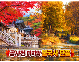 [B-118] 경주 천년숲정원 단풍+포항 1박2일