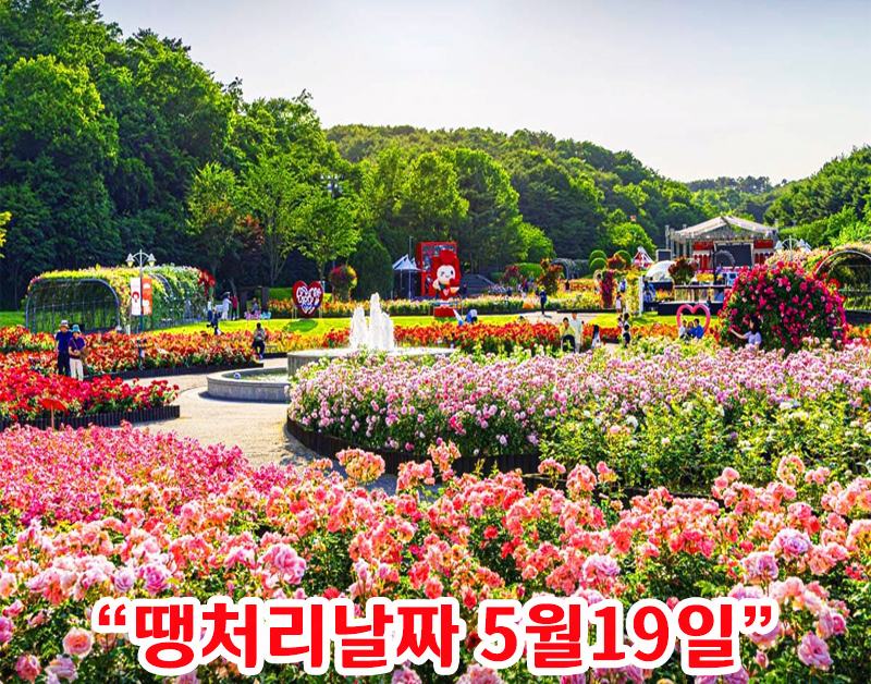 [B-118A] 추천코스 울산 장미축제+경주 봄꽃 1박2일 봄 여행