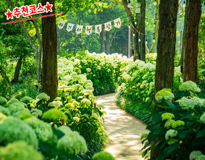 [B-130] 추천코스 경남 진주+사천+고성 여름 수국여행 1박2일