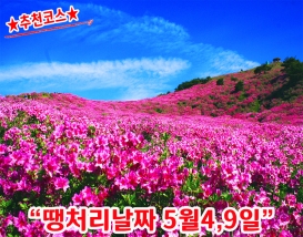[B-158A] 추천코스 거창+합천 황매산 철쭉축제 1박2일