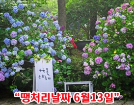 [B-17B] 부산+울산 수국여행 1박2일