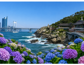 [B-17B] 부산+울산 수국여행 1박2일