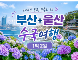 [B-17B] 부산+울산 수국여행 1박2일