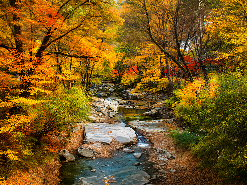 [B-17C] 울산+청도 단풍로드 1박2일
