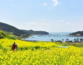 [B-21A] 청산도+해남+강진 남도로 떠나는 봄 맛 기행
