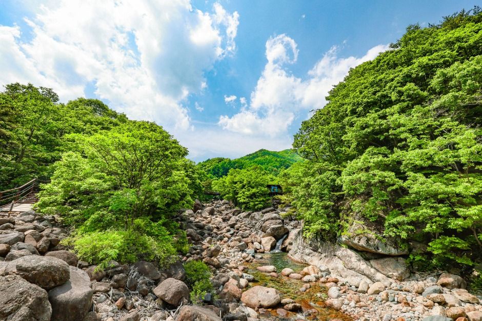 [B-22A] 추천코스 시즌2 남해+사천+산청1박2일