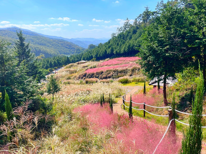 [B-24C] 낭만의 도시 여수+보성 1박2일