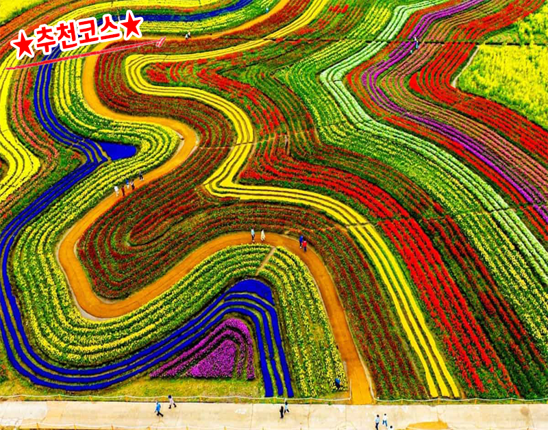 [B-39C] 추천코스 순천만 국가정원+여수 하화도 1박2일