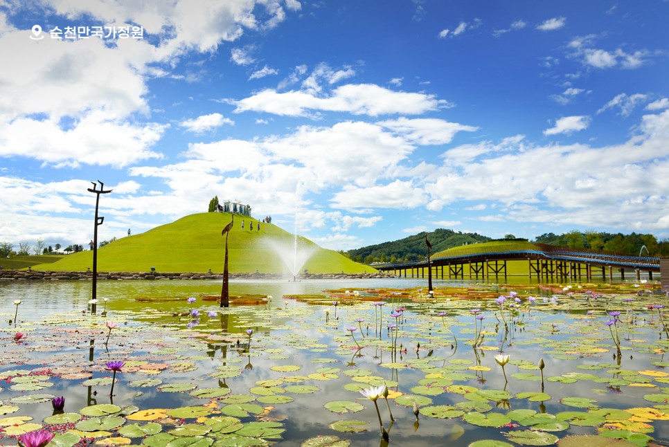 [B-39C] 추천코스 순천만 국가정원+여수 하화도 1박2일