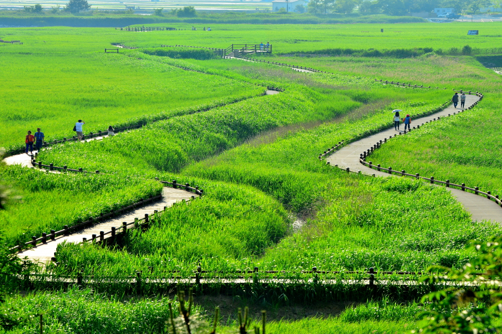 [B-39C] 추천코스 순천만 국가정원+여수 하화도 1박2일