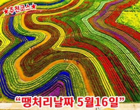 [B-39C] 추천코스 순천만 국가정원+여수 하화도 1박2일