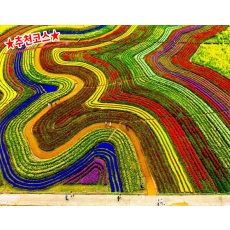 [B-39C] 추천코스 순천만 국가정원+여수 하화도 1박2일