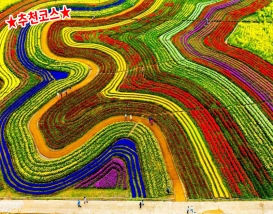 [B-39C] 추천코스 순천만 국가정원+여수 하화도 1박2일