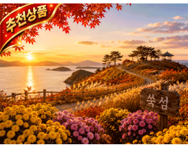 [B-45C] 고흥 쑥섬(애도)+영암 국화축제 1박2일