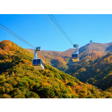 [B-47]부산+밀양 얼음골 단풍 가을 여행 1박2일