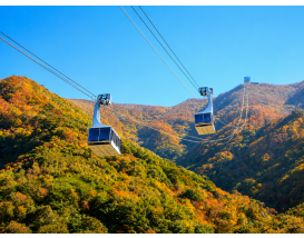 [B-47]부산+밀양 얼음골 단풍 가을 여행 1박2일