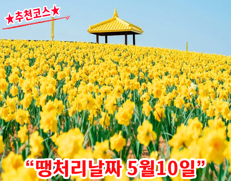[B-70A] 추천코스 신안 옐로우섬 선도+나주 1박2일 봄 여행