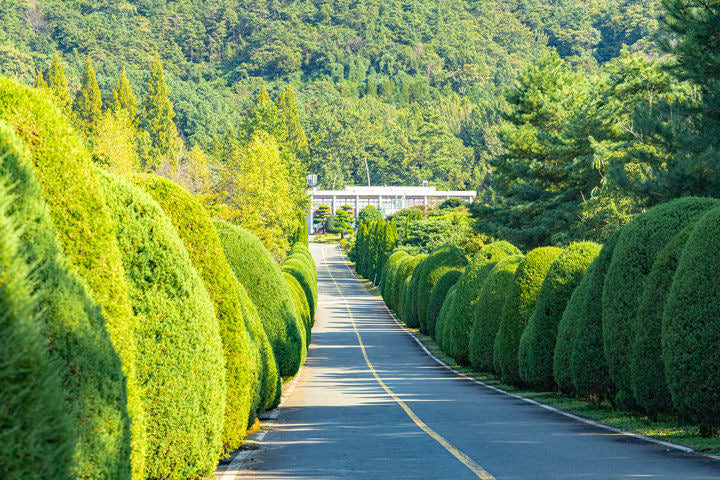 [B-70A] 추천코스 신안 옐로우섬 선도+나주 1박2일 봄 여행
