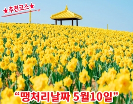 [B-70A] 추천코스 신안 옐로우섬 선도+나주 1박2일 봄 여행
