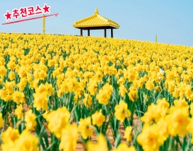 [B-70A] 추천코스 신안 옐로우섬 선도+나주 1박2일 봄 여행