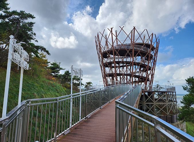 [B-70B] 신안 임자도 홍매화(3월)&튤립축제(4월)+영광+부안+대둔산 케이블카