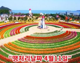 [B-70B] 신안 임자도 홍매화(3월)&튤립축제(4월)+영광+부안+대둔산 케이블카