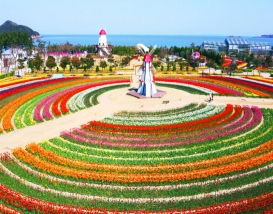 [B-70B] 신안 임자도 홍매화(3월)&튤립축제(4월)+영광+부안+대둔산 케이블카