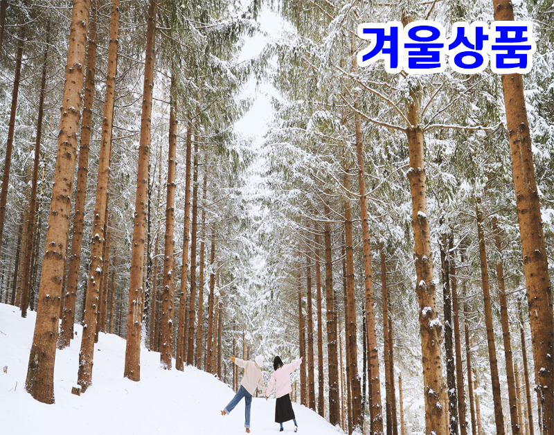 [B-72] 추천코스 강원도 평창+강릉+울진 1박2일