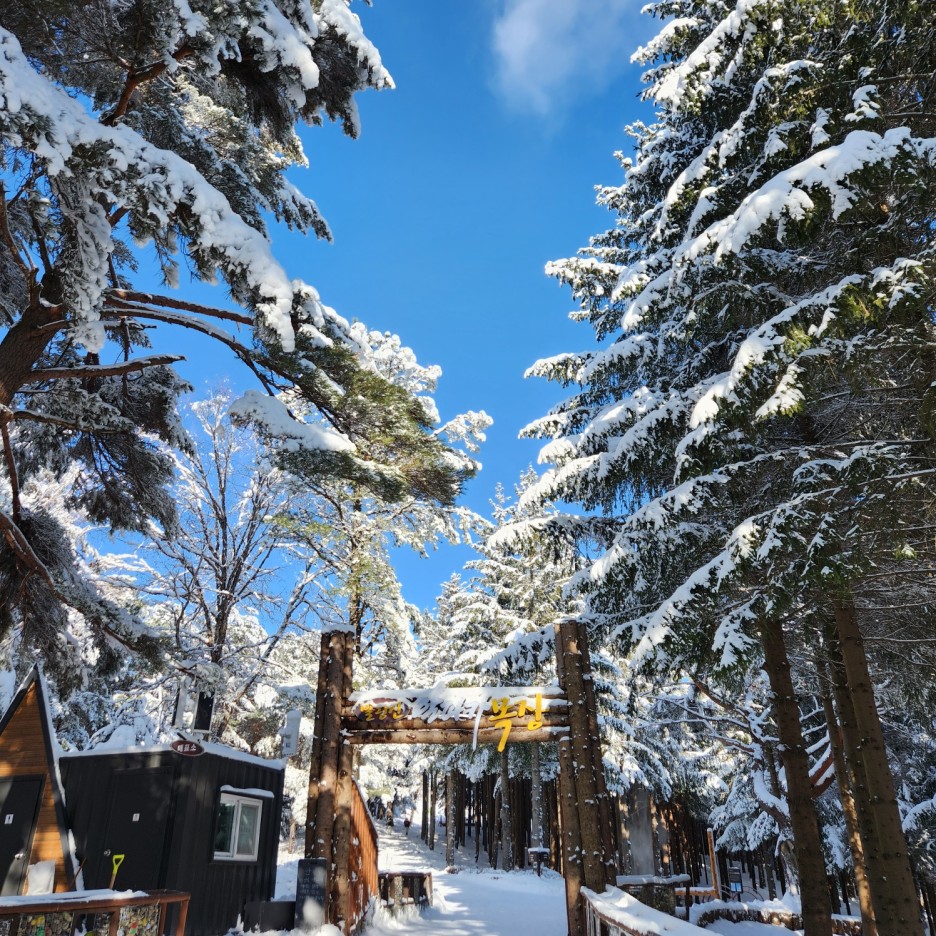 [B-72] 추천코스 강원도 평창+강릉+울진 1박2일