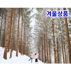 [B-72] 추천코스 강원도 평창+강릉+울진 1박2일