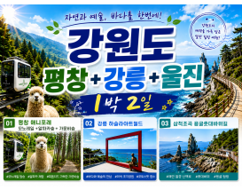 [B-72] 추천코스 강원도 평창+강릉+울진 1박2일