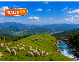 [B-72] 추천코스 강원도 평창+강릉+울진 1박2일