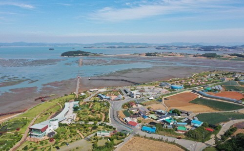 [C-01]무안 연꽃명소 회산백련지+황토갯벌랜드