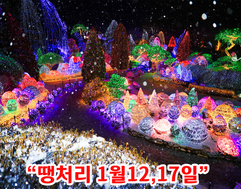 [C-107D] 가평 아침고요수목원 별빛축제+구곡얼음폭포