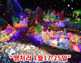 [C-107D] 가평 아침고요수목원 별빛축제+구곡얼음폭포