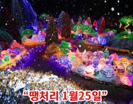 [C-107D] 가평 아침고요수목원 별빛축제+구곡얼음폭포