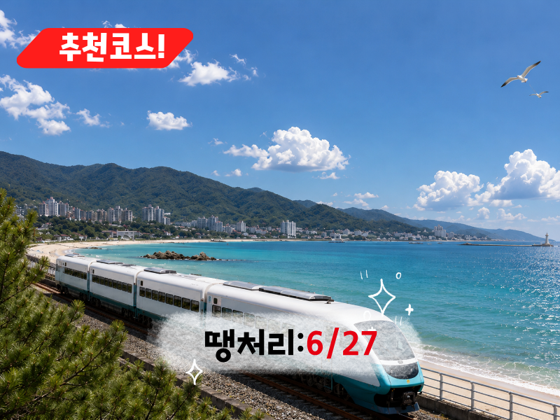[C-113] 동해바다산타열차(강릉>동해)+묵호등대+도째비골 스카이밸리