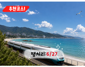 [C-113] 동해바다산타열차(강릉>동해)+묵호등대+도째비골 스카이밸리