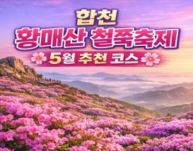 [C-115]황매산 철쭉제+합천 영상테마파크+한우불고기 특식
