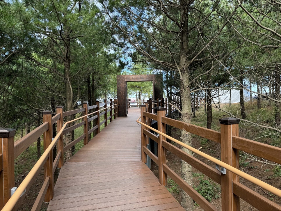 [C-115B] 추천코스 거창 감악산 무장애나눔길+거창 창포원 봄꽃