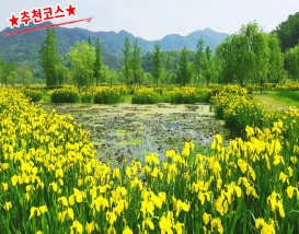 [C-115B] 추천코스 거창 감악산 무장애나눔길+거창 창포원 봄꽃