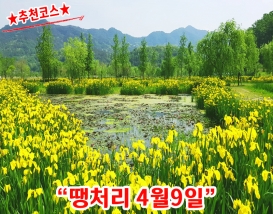 [C-115B] 추천코스 거창 감악산 무장애나눔길+거창 창포원 봄꽃